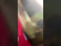 Видео ￼тихо￼