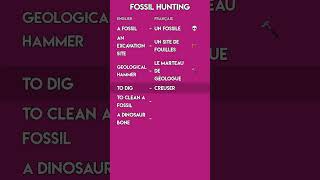 Fossil Hunting in French 🦖 | Paleontology Vocabulary