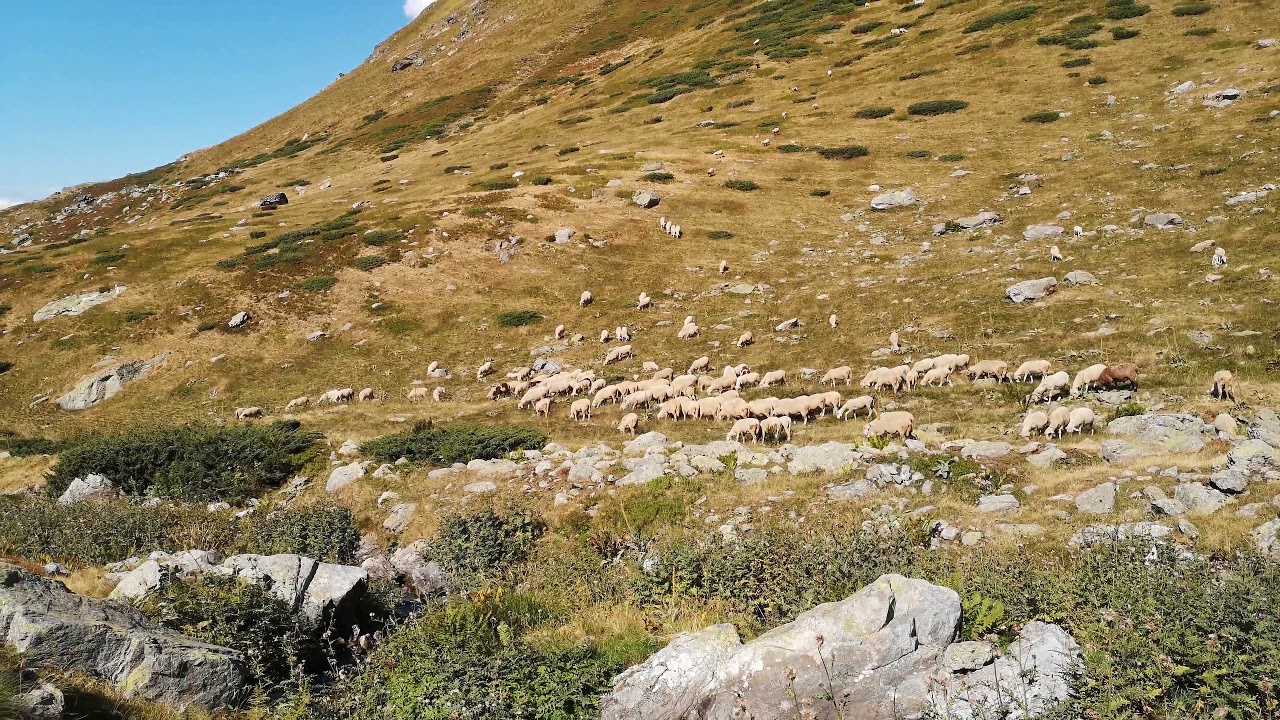 📍Sharr Mountains National Park, 