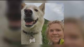 Alaskan husky helps rescue injured hiker near Anchorage