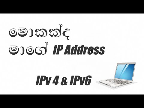 וִידֵאוֹ: כיצד להגיש הצהרת IP
