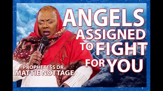 ANGELS ASSIGNED TO FIGHT FOR YOU. Prophetess Mattie NOTTAGE screenshot 3