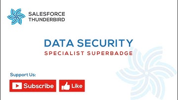 Data Security Specialist Superbadge | challenge 1: Working with Data Categorization and Access