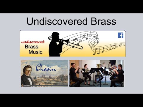 Chopin Valse Petit Chien V1 1