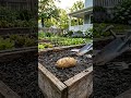 Reproducción vegetativa o propagación asexual en plantas