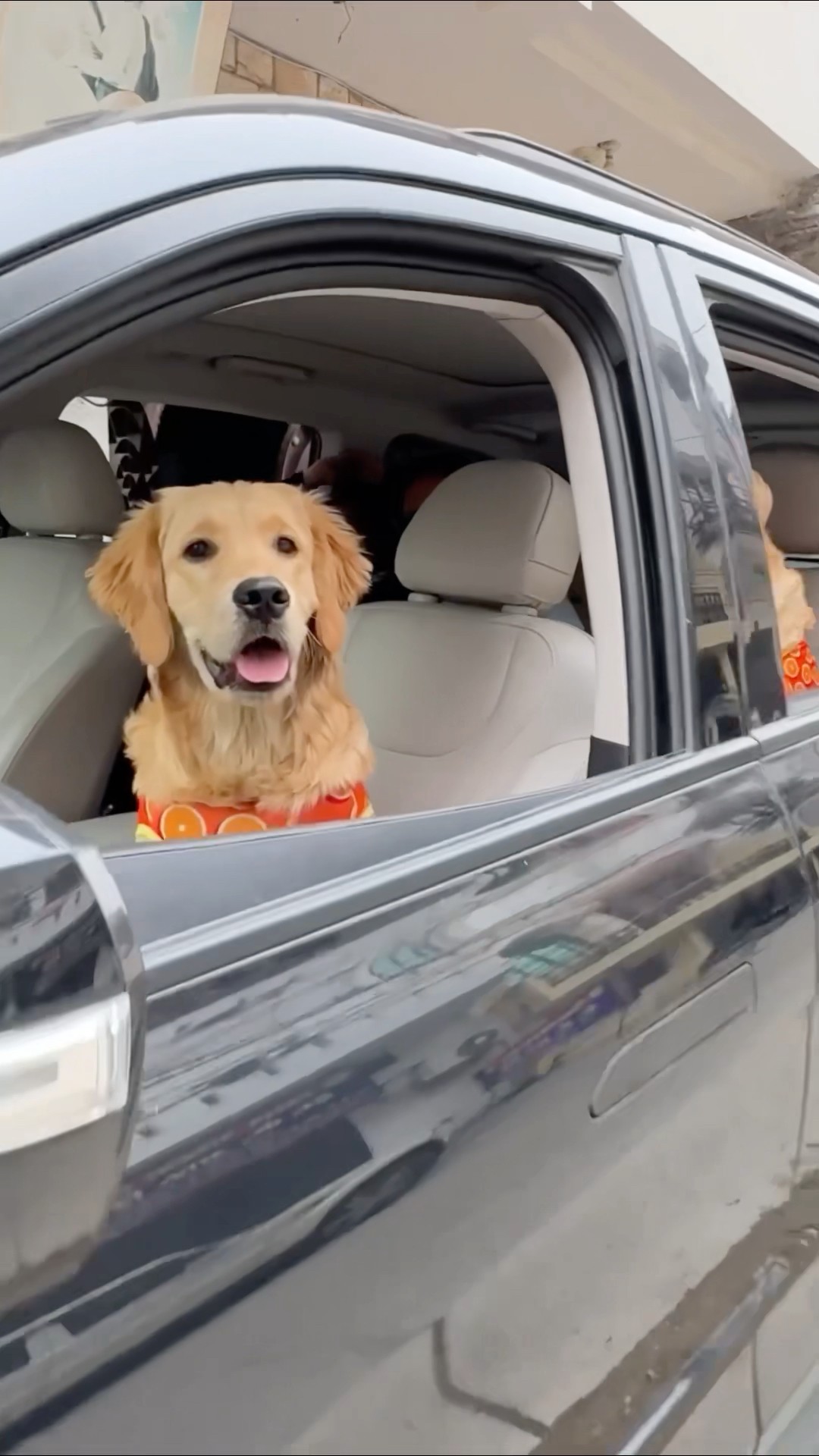 Car journey with leo \u0026 Reo? #shorts | Anant Rastogi