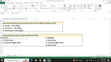 BATCH 06: SAP S/4 HANA FICO: Regular Session 43 Document Splitting - 2