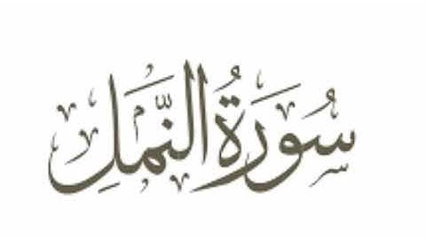سورة النمل    د شريف فوزي