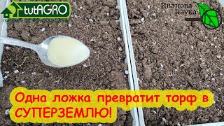 КИНЬТЕ ЭТО В ВЕДРО С ТОРФОМ и ОН ПРЕВРАТИТСЯ В САМЫЙ ПЛОДОРОДНЫЙ ГРУНТ! Этот трюк изменит всё!