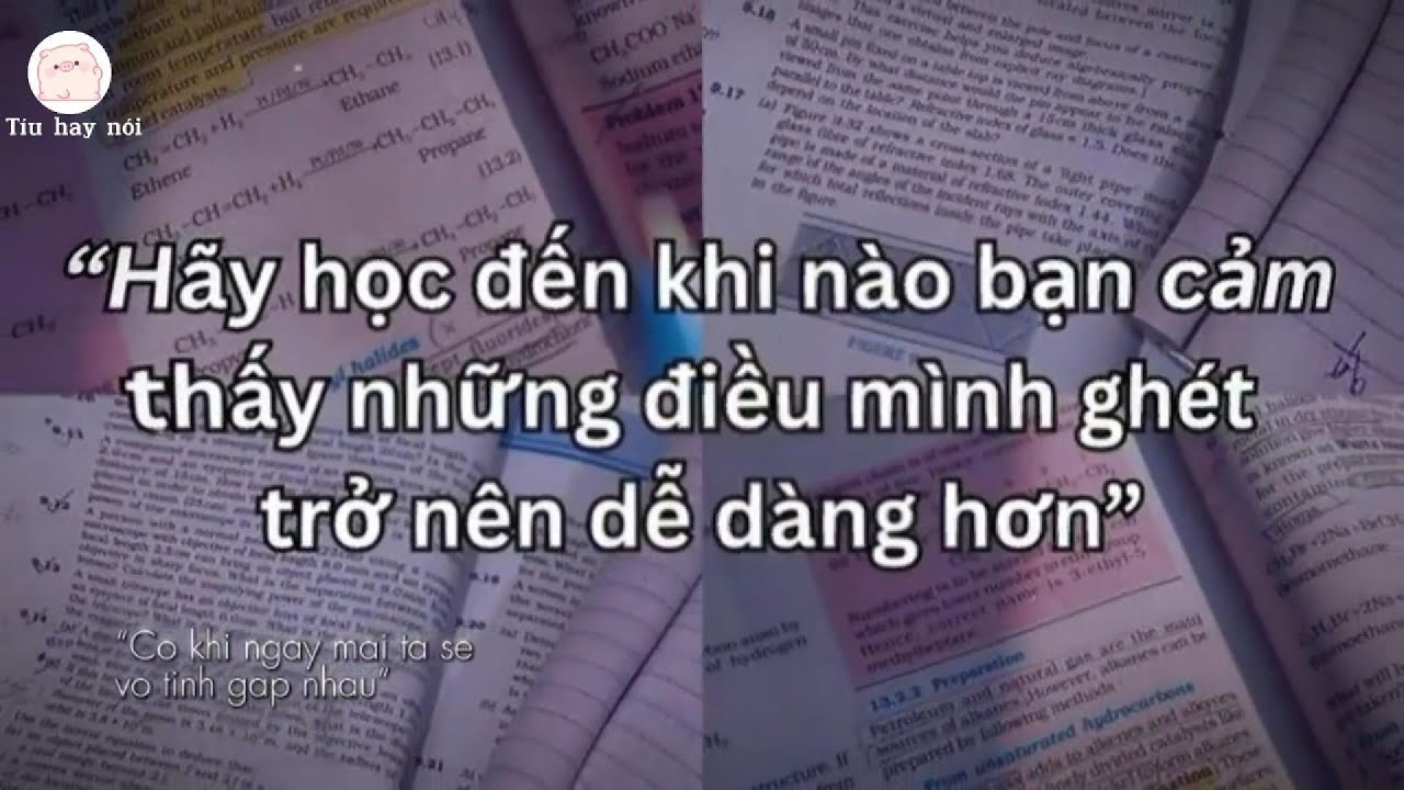 /ĐỘNG LỰC HỌC TẬP/ “Đừng vì vài hòn đá dưới chân mà bỏ lỡ cả đường hoa phía trước.”