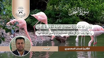 سورة النحل  - القارئ غسان المعموري -  الرست