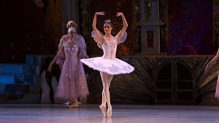 Video thumbnail of "EXTRACT | 'Dance of the Sugar Plum Fairy' - NUTCRACKER (Tchaikovsky) - National Opera of Ukraine"