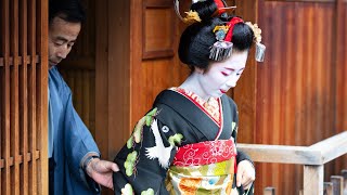 美しい舞妓、京都の芸者, 舞子さん  Maiko, Geisha in Kyoto  | Joshi YOLO