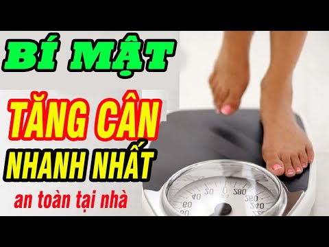 Video: Thời Gian Cho Chó ăn Có Thể Quan Trọng đối Với Việc Giảm Cân