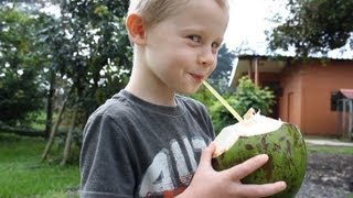 How to Drink a Coconut and Why You Should