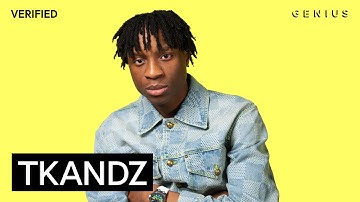 TKandz "NOW OR NEVER" Lyrics & Meaning | Genius Verified