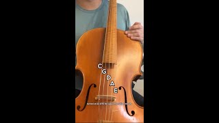 This Cello Has 5 Strings!!
