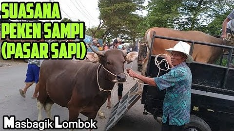 INI SUASANA PEKEN SAMPI  (PASAR SAPI) Masbagik Lombok