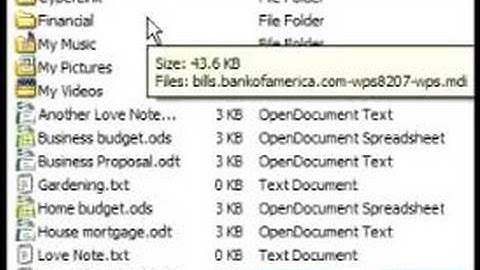 Learn Basic Computer Skills : Organizing Files in Microsoft Windows
