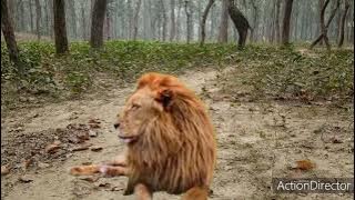 Doraemon Iion video. Mp4 new episod2021