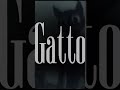 Cartoon cat edit