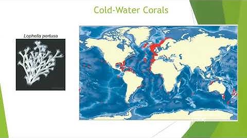 Virtual Seminar 1: Modelling Coral Growth using SPH