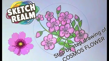 how to draw a flower | Cosmos flower tutorial