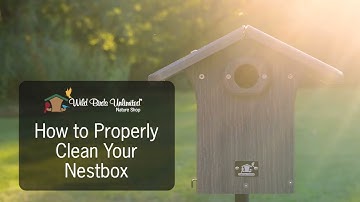Wild Birds Unlimited | How To Properly Clean Your Nestbox 30s