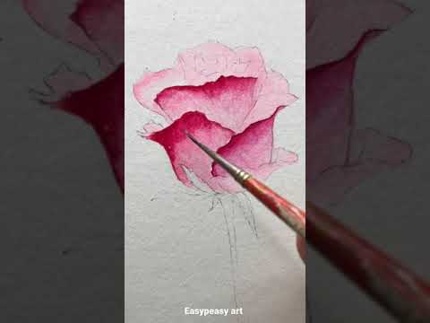 How to paint rosewatercolour rose painting for beginnersYoutubeshorts shorts