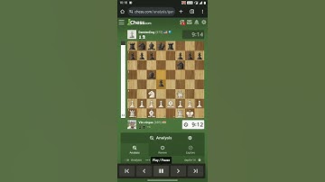 Awesome _Chessmates_by_Mr.V