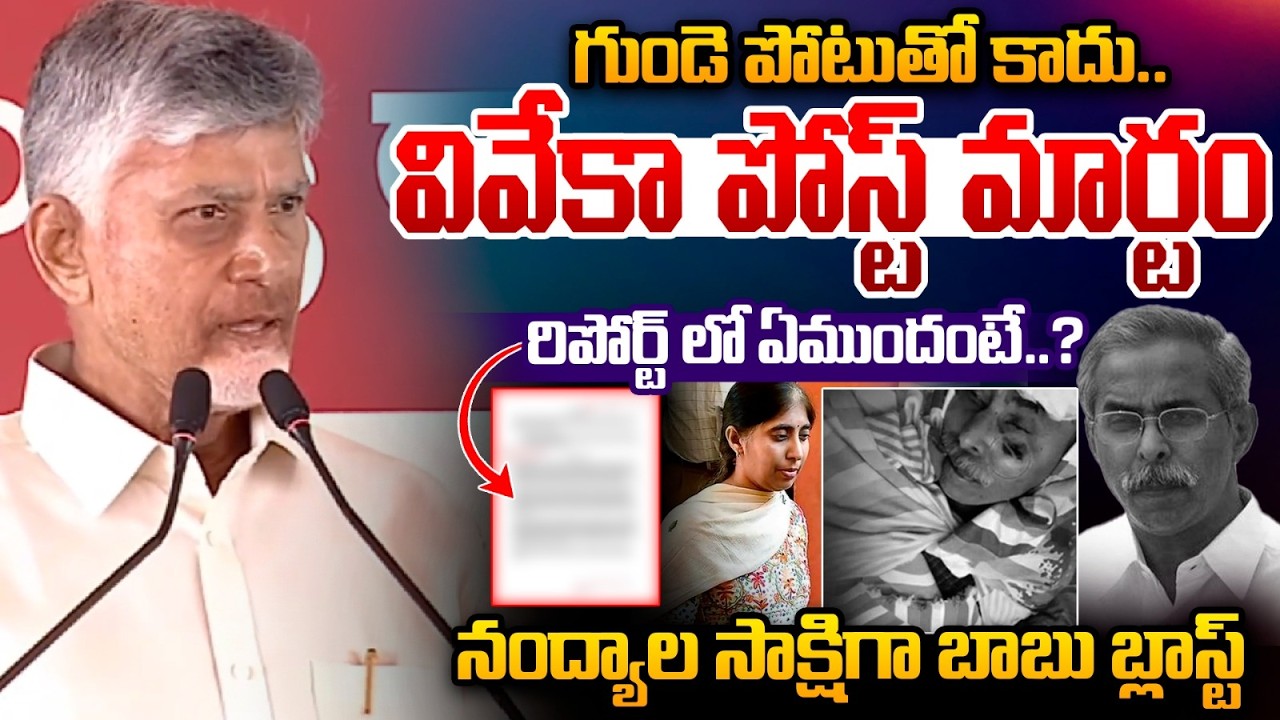 Chandrababu About YS Viveka Case : వివేకా హ*త్య పై చంద్రబాబు సంచలన కామెంట్స్ | Wild Wolf Telugu