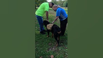Friendly Encounters on the Trail | Axl Makes New Friends