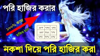 নকশা দিয়ে পরি হাজির করা Presenting fairy with designs ইমু 01834186268