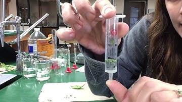 Floating leaf disc lab