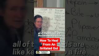GUT HEALTH (PART - 1): IRRITATED GUT: What You Have To Do When Healing From An Irritated Gut.
