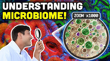 The Hidden World in Your Aquarium: Reef Microbiome Explained!