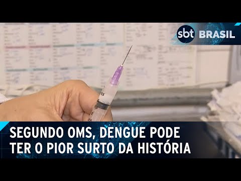 Video organizacao-mundial-da-saude-alerta-sobre-os-perigos-da-dengue-sbt-brasil-26-03-24