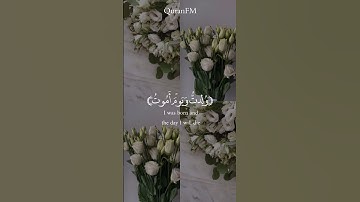 سورة مريم🤍 #اللهم_صل_وسلم_على_نبينا_محمد #صلاح_بوخاطر #ارح_قلبك #سورة_مريم #تلاوات_خاشعة #تلاوات