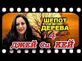 Джей Си КЕЙ   Мы станем суверенными. Шепот дерева