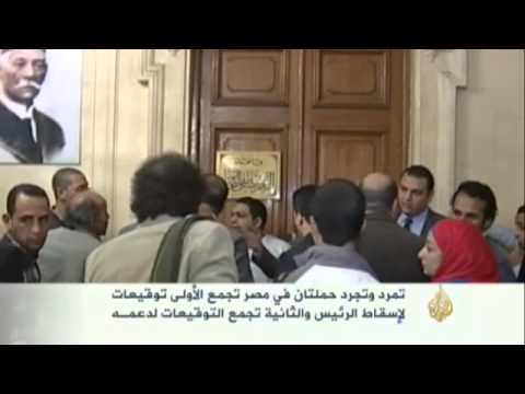 حملة لجمع توقيعات تدعم الرئيس المصري