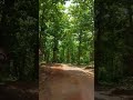 saptasaya #shortsfeed #trending #music #viral #song #nature