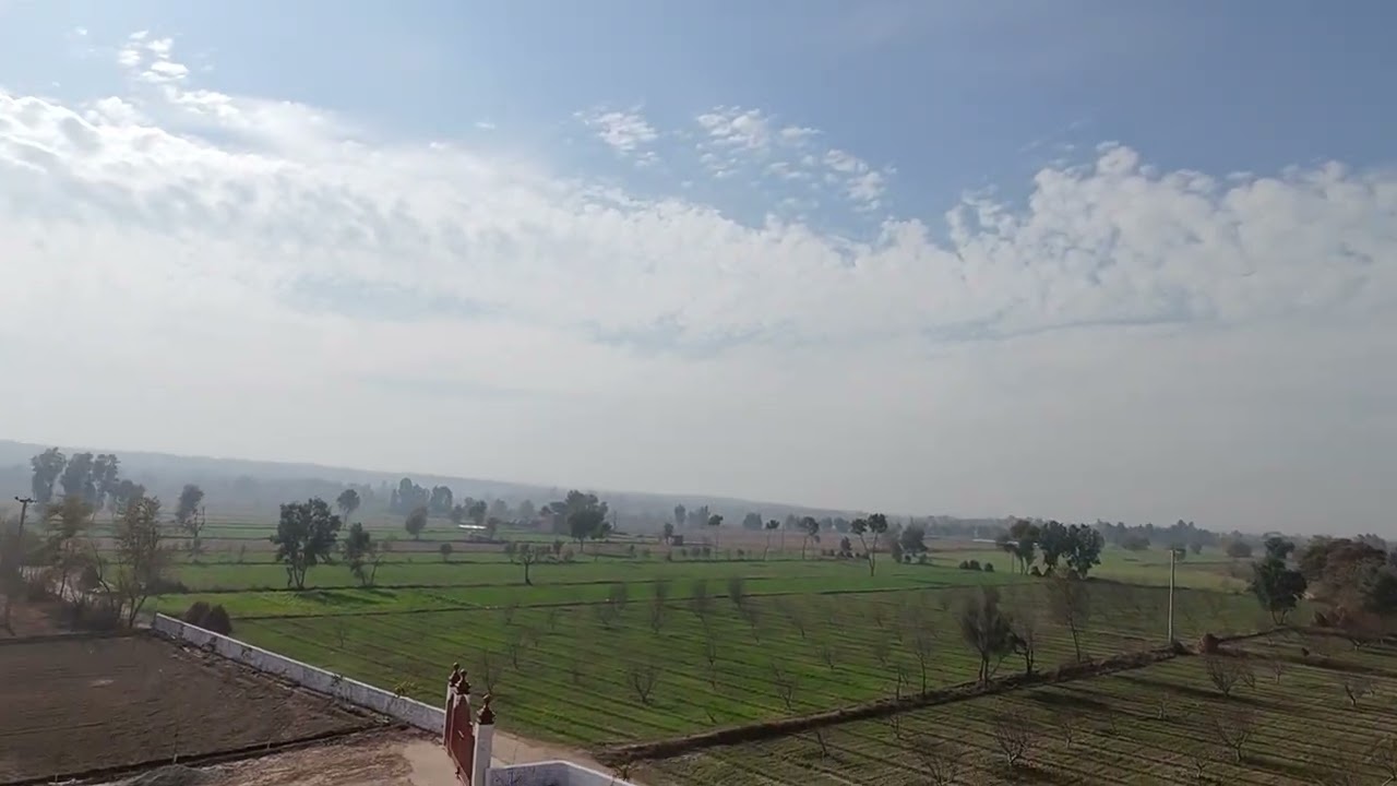 Drone flight over Pindi Gaib farm