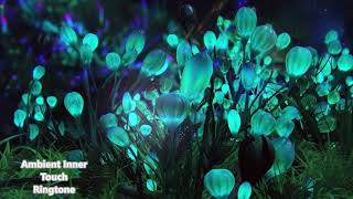 Ambient Inner Touch Ringtone | Us ringtone