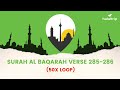 Surah Baqarah last 2 ayat - verses 285-286 ("Amana Rasul") | 50x Loop