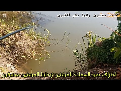 The Fishermen Went Crazy Fishing At Rocket Speed And You Made Beginners Professionals 