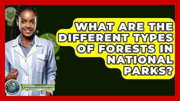 What Are The Different Types Of Forests In National Parks? - Earth Science Answers