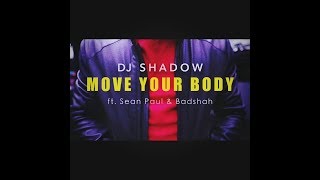 Move Your Body | Dance Cover | DJ Shadow Dubai X Sean Paul X Badshah | Imraniden