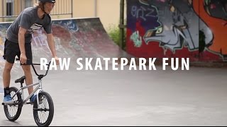 Skatepark Fun with BMX Bikes in Denmark! Raw Webisode 2016