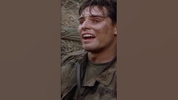 Vietnam War Cobra Pilot Shot From The Sky