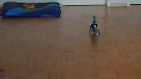 trex 450 se v2 Maiden setup hover